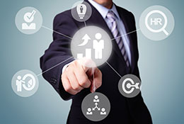 Consultant Executive Consultant Executive