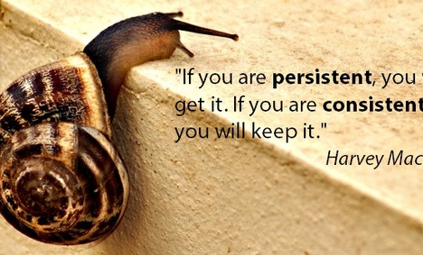 Rgf Executive Search Philippines Persistenct And Consistency 3 768x334 1